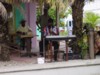 Cruise Antigua 11